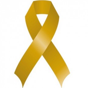 A petición del Grupo Municipal de Ciudadanos Ávila y por unanimidad, el Ayuntamiento celebró el día 30 un acto de apoyo por el Cáncer Infantil. A petición del Grupo Municipal de Ciudadanos Ávila y por unanimidad, el Ayuntamiento celebró el día 30 un acto de apoyo por el Cáncer Infantil.
