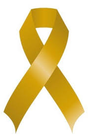 El Grupo Municipal de Ciudadanos Ávila haciendo coincidir con el día Internacional de la Lucha Contra el Cáncer Infantil realiza un llamamiento para concienciar y visibilizar el grave problema que sufren las familias afectadas por el Cáncer Infantil. El Grupo Municipal de Ciudadanos Ávila haciendo coincidir con el día Internacional de la Lucha Contra el Cáncer Infantil realiza un llamamiento para concienciar y visibilizar el grave problema que sufren las familias afectadas por el Cáncer Infantil.