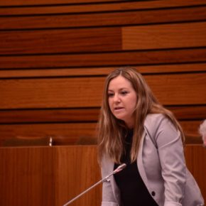 Cs solicita conocer las medidas previstas para mejorar el protocolo de actuación en supuestos de acoso escolar Cs solicita conocer las medidas previstas para mejorar el protocolo de actuación en supuestos de acoso escolar