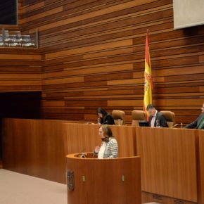 Inmaculada Gómez: “Ciudadanos pide en las Cortes que Ávila sea la sede del ‘hub’ para el desarrollo del vehículo eléctrico”