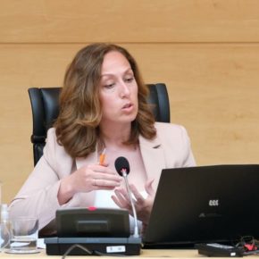 Inmaculada Gómez: “El Plan Territorial de Fomento para Ávila debe retomarse cuanto antes porque es clave para la provincia”
