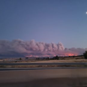 Cs solicita la declaración de zona catastrófica para los municipios abulenses afectados por el incendio de Navalacruz