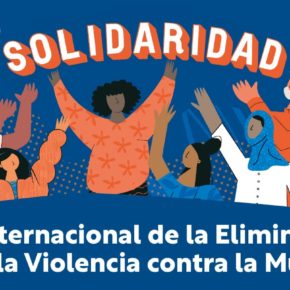 Comunicado de Ciudadanos con motivo del Día Internacional de la Eliminación de la Violencia contra las Mujeres